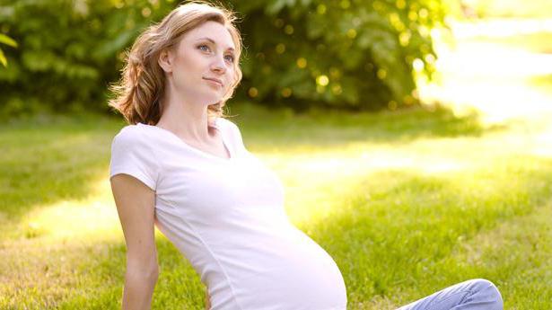 třetí ultrazvuk v průběhu těhotenství