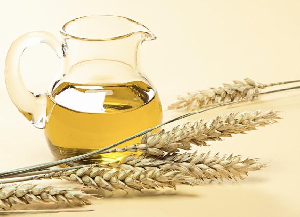 applicazione di olio di germe di grano