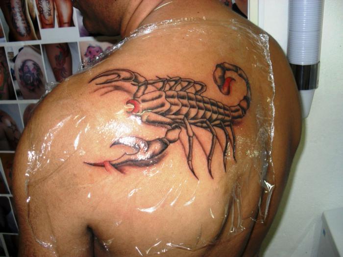 hodnota tetování scorpion