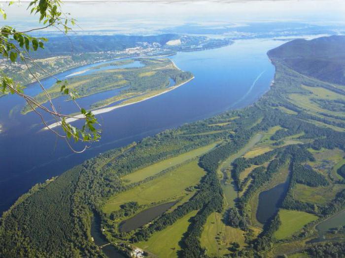 Volga: rečna prehrana