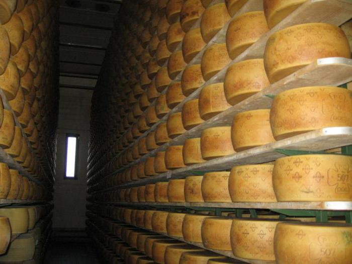 Grano Padano Cheese