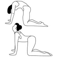 gimnastika za jačanje mišića leđa