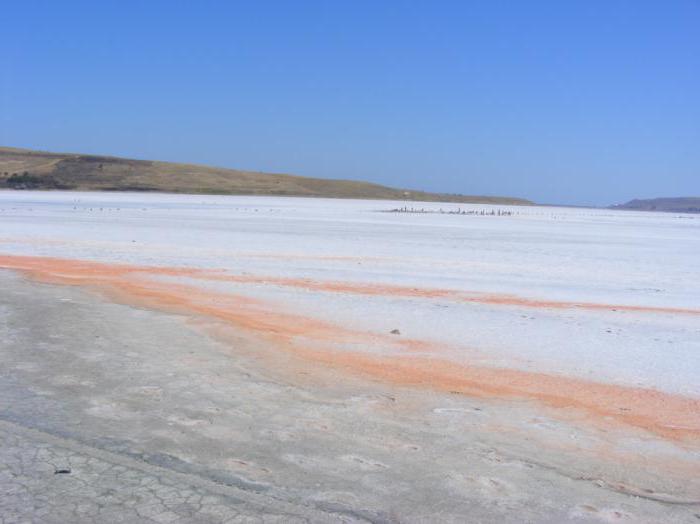 Blatno jezero Chokrak Krim