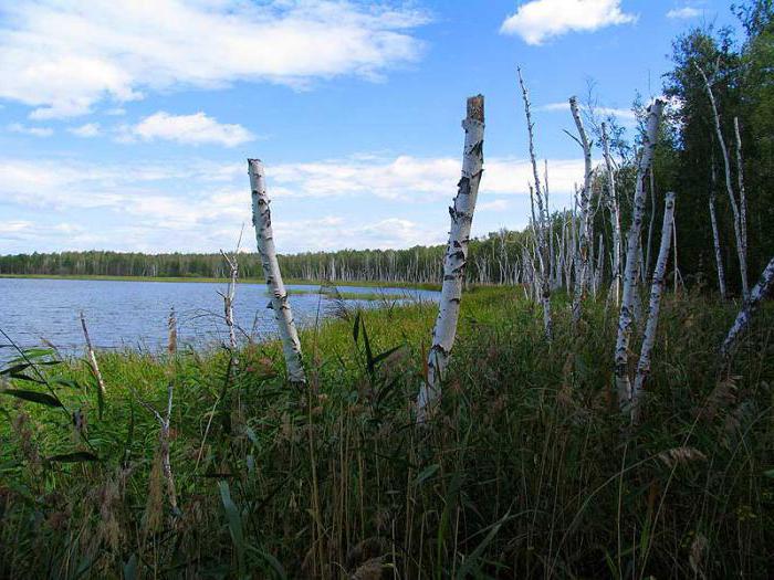 Slatko jezero Čeljabinska regija kako doći