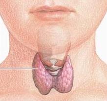 adenoma tiroideo
