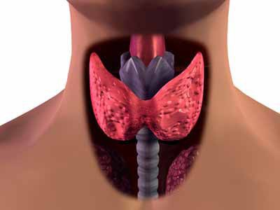 ormoni tiroidei