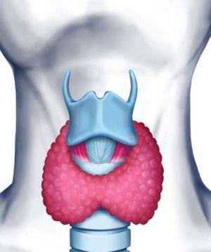 tiroidite tiroidea