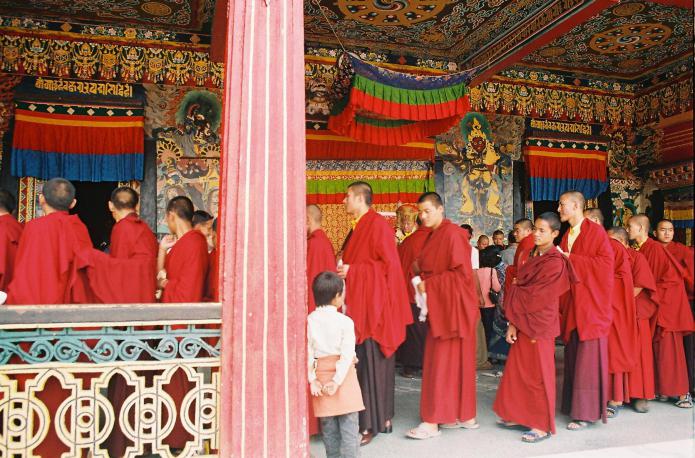 Monaci tibetani ricette di guarigione dorate