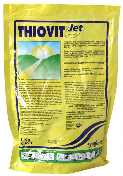 istruzioni per l'uso del farmaco tiovit jet