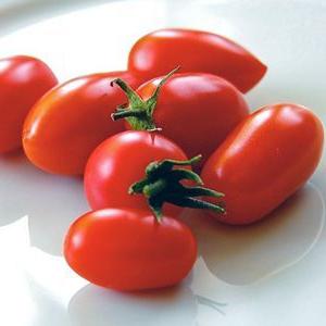 Tomato Caspar (recensioni)