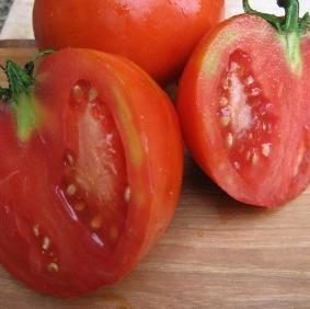 kosmonaut vlčí rajčata