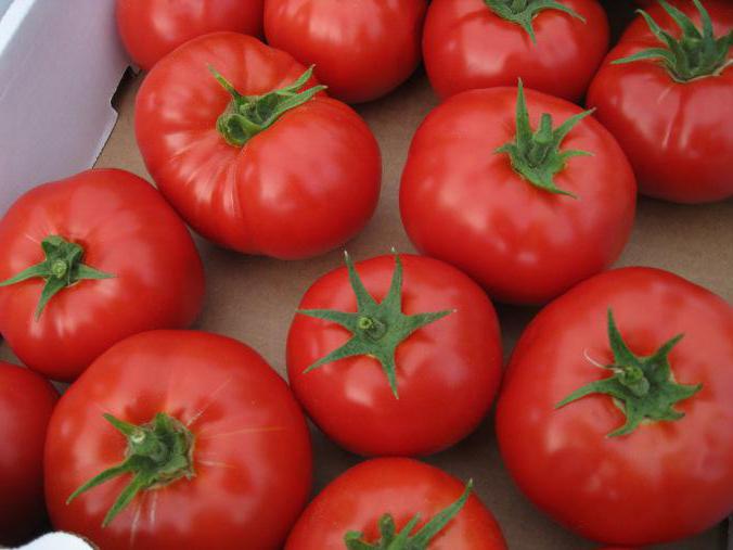 гостоприемни домати