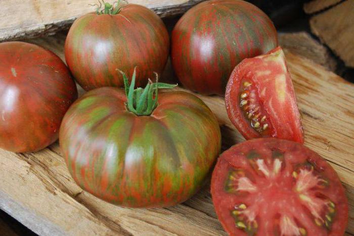 Pomidory Sto funtów zdjęcie