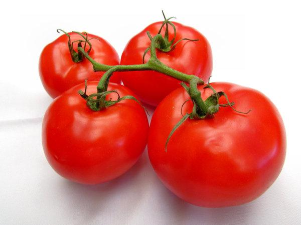 Pomidor Katya