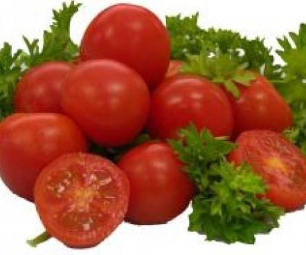 Pomidory olya