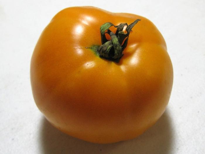 Tomato persimmon