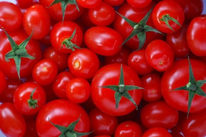 Różnorodność pomidorów Diva