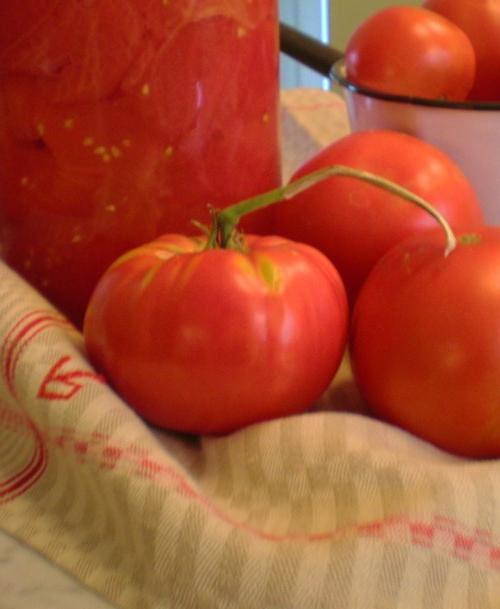 Tomato Diva - świetny smak