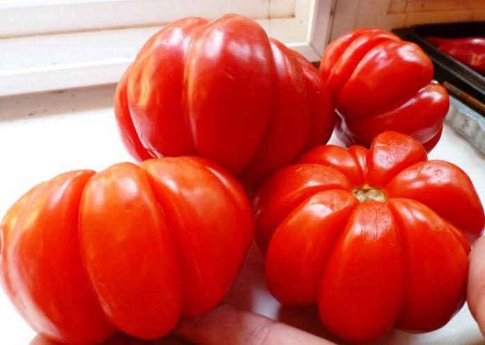 pomidory puzata chata recenzje zdjęć