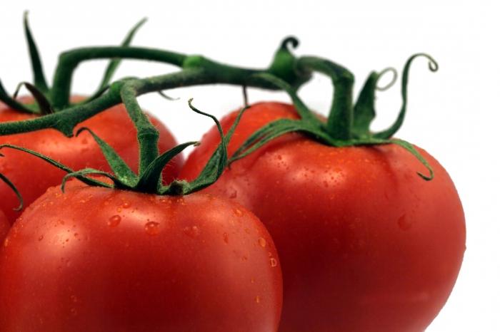 Tomato Little Red Hood