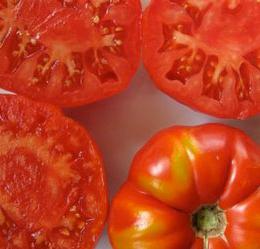 Sortuj pomidorowy Czerwony Kapturek.