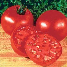 Wczesny pomidor syberyjski