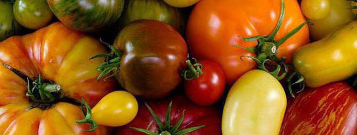 Karakteristika Volgogradske rajčice