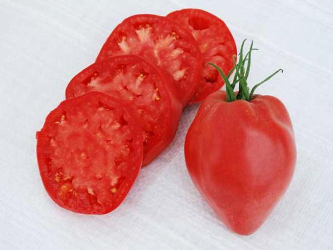 różnorodność pomidorów