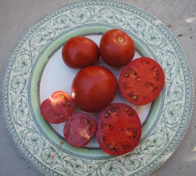 rajčice yamal recenzije