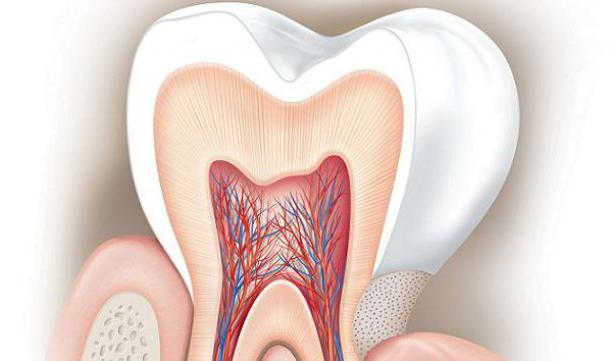Zubní pasta Amway