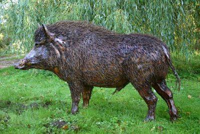Зороастрийски хороскоп дива свиня