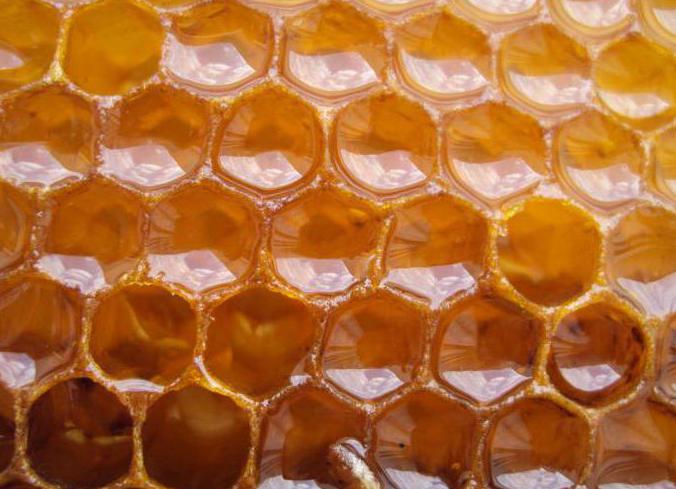 лечение на стави с репей с мед