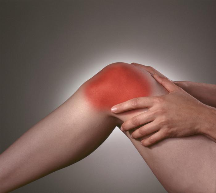 burdock za liječenje artroze koljena)