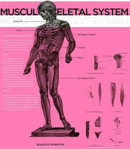 léčba muskuloskeletálního systému