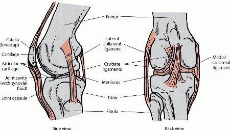 tretmani mišićno-koštanog sustava