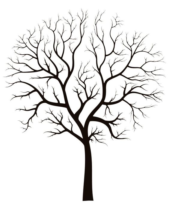 wzór drzewa