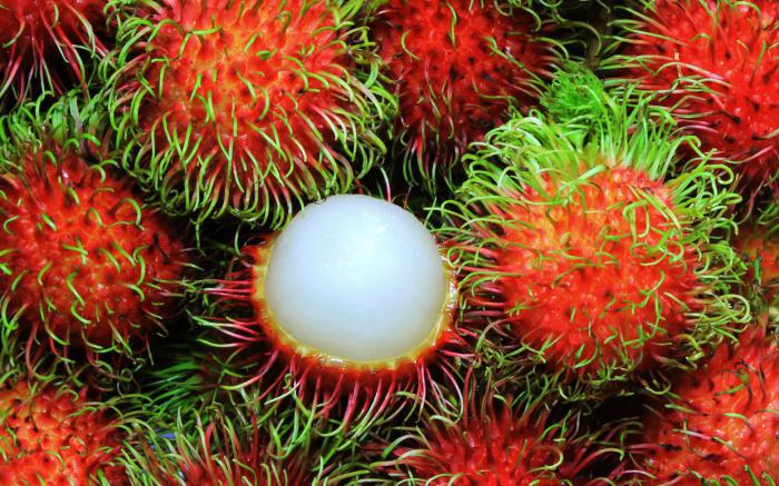 frutto del rambutan
