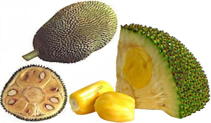 owoc jackfruit