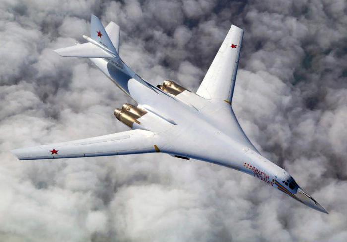 Tu-324 užitečné zatížení