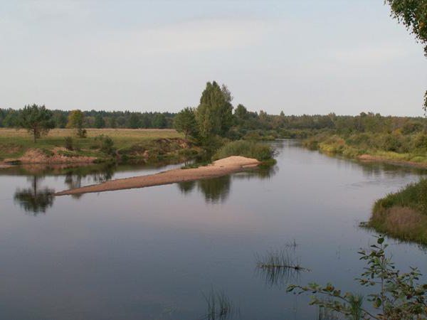 řeka medvěd fotografie