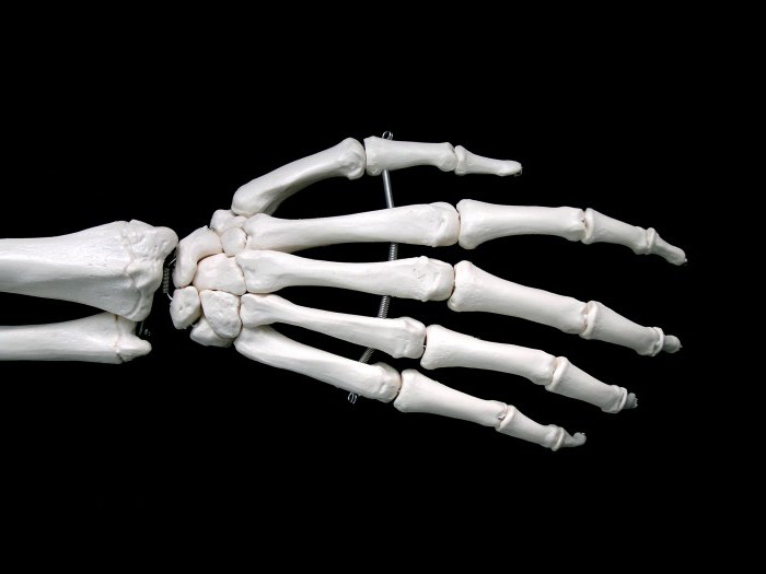 kontinuální kostní spojení