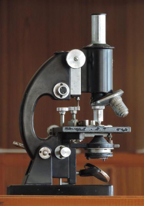 struttura del microscopio