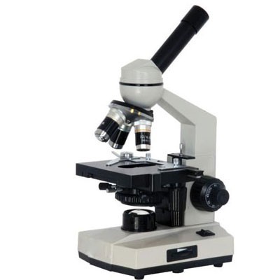 microscopio digitale