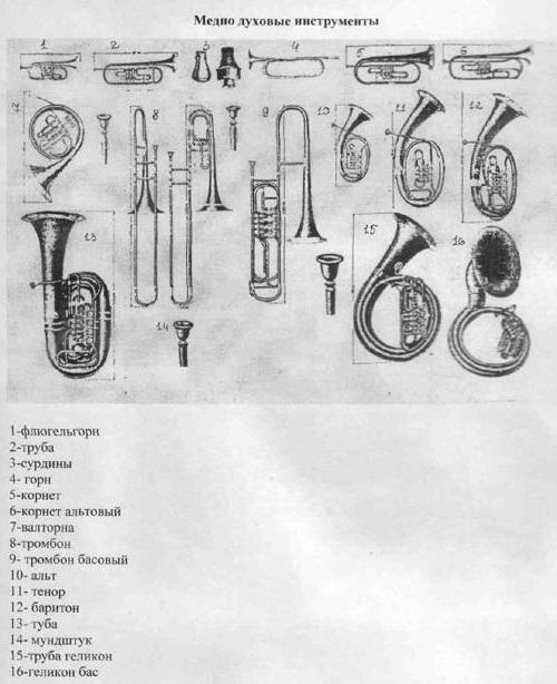 vrste instrumentalnih orkestrov
