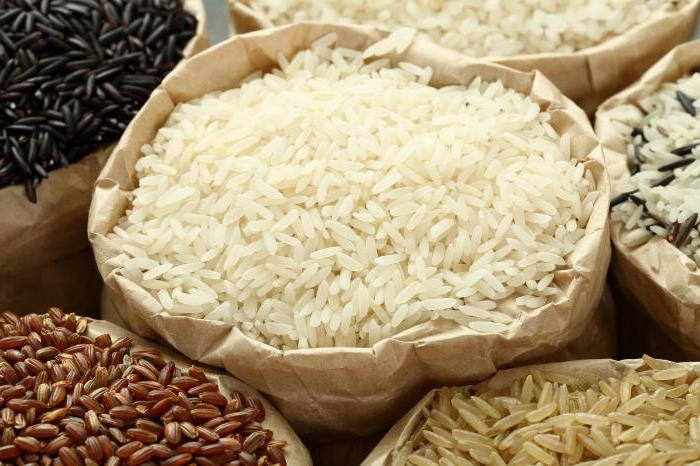 druhů rýže