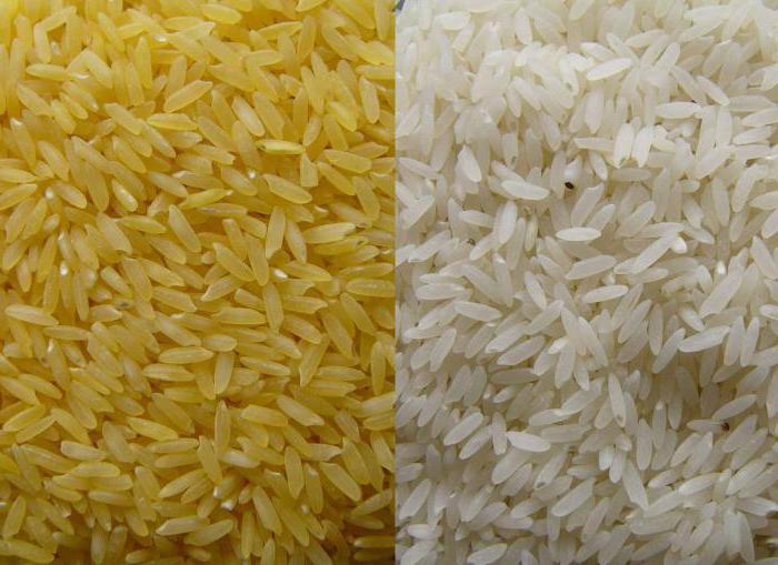 główne rodzaje ryżu