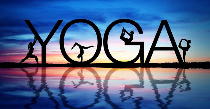 Vrste joge za začetnike