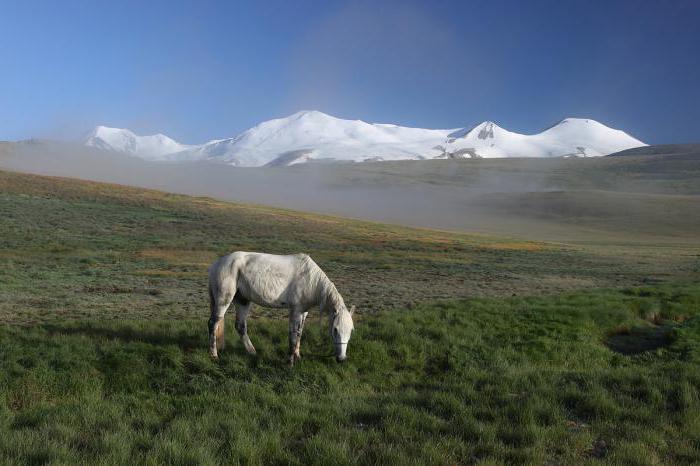 Ukok Altai Plateau