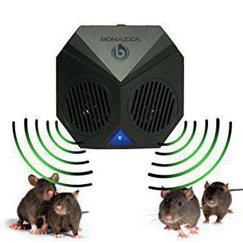 ultrazvučni pregledi štakora s štakorima