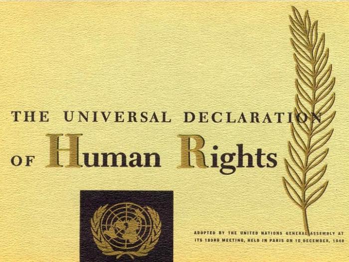 Dichiarazione universale dei diritti umani